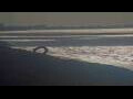 Webcam De Panne