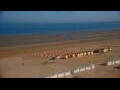 Webcam De Panne