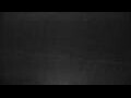 Webcam De Panne