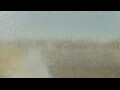 Webcam Alachua, Florida