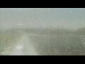 Webcam Alachua, Florida