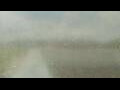 Webcam Alachua, Florida