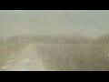 Webcam Alachua, Florida