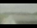 Webcam Alachua, Florida