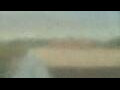 Webcam Alachua, Florida