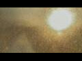Webcam Alachua, Floride