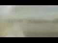 Webcam Alachua, Florida