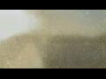 Webcam Alachua, Florida