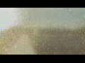 Webcam Alachua, Florida