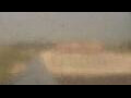 Webcam Alachua, Floride