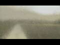 Webcam Alachua, Florida