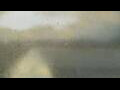 Webcam Alachua, Florida