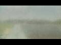 Webcam Alachua, Florida