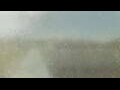 Webcam Alachua, Florida
