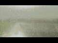 Webcam Alachua, Florida