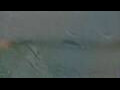 Webcam Alachua, Florida