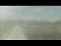 Webcam Alachua, Florida