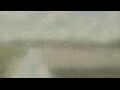 Webcam Alachua, Florida