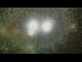 Webcam Alachua, Florida