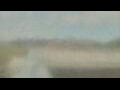 Webcam Alachua, Florida