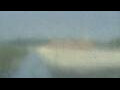 Webcam Alachua, Florida