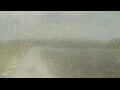Webcam Alachua, Florida