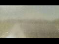 Webcam Alachua, Florida