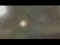 Webcam Alachua, Florida