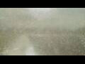 Webcam Alachua, Florida