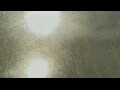 Webcam Alachua, Florida
