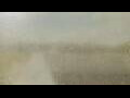 Webcam Alachua, Florida