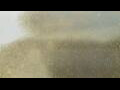 Webcam Alachua, Florida