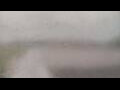 Webcam Alachua, Florida