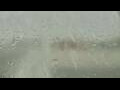 Webcam Alachua, Florida