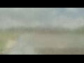 Webcam Alachua, Florida