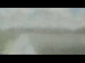 Webcam Alachua, Florida