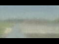 Webcam Alachua, Floride