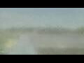 Webcam Alachua, Florida