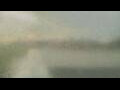Webcam Alachua, Florida