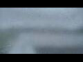 Webcam Alachua, Florida