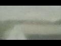 Webcam Alachua, Florida