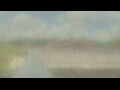 Webcam Alachua, Florida