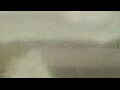Webcam Alachua, Florida