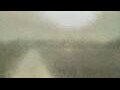 Webcam Alachua, Florida
