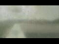 Webcam Alachua, Florida