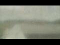 Webcam Alachua, Florida