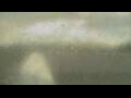 Webcam Alachua, Florida