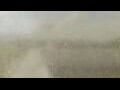 Webcam Alachua, Florida