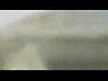 Webcam Alachua, Florida