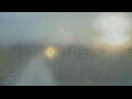 Webcam Alachua, Florida